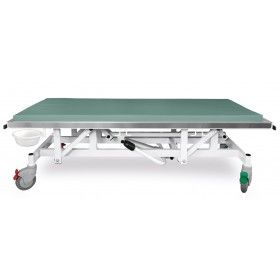 stół weterynaryjny hydrauliczny GOLIAT SLVR stół weterynaryjny hydrauliczny GOLIAT SLVR