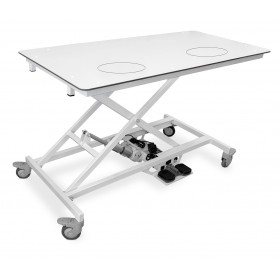 Stół weterynaryjny do USG i echo serca - ECHO PRO 3